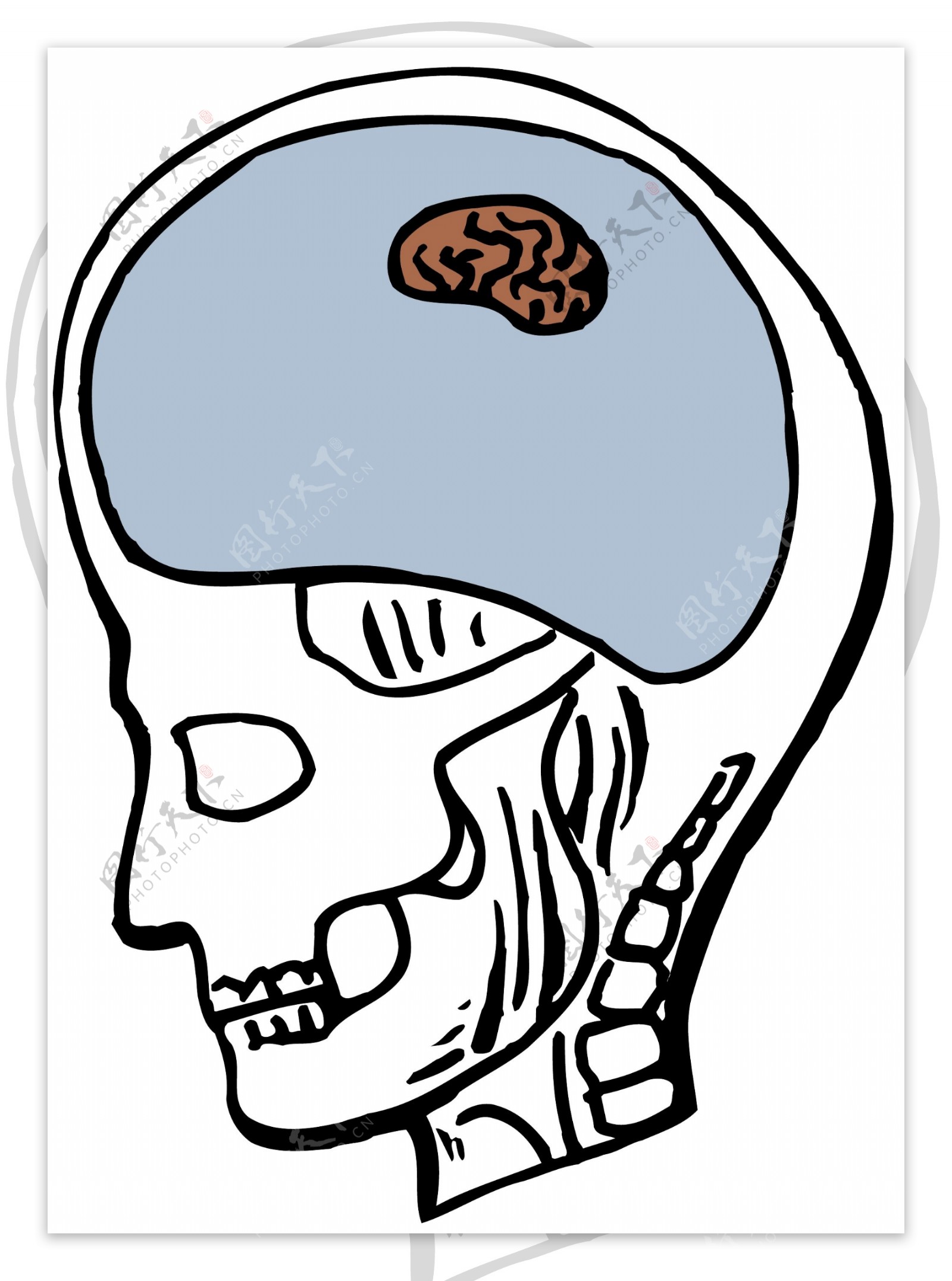 头颅大脑医用模型矢量素材EPS0044