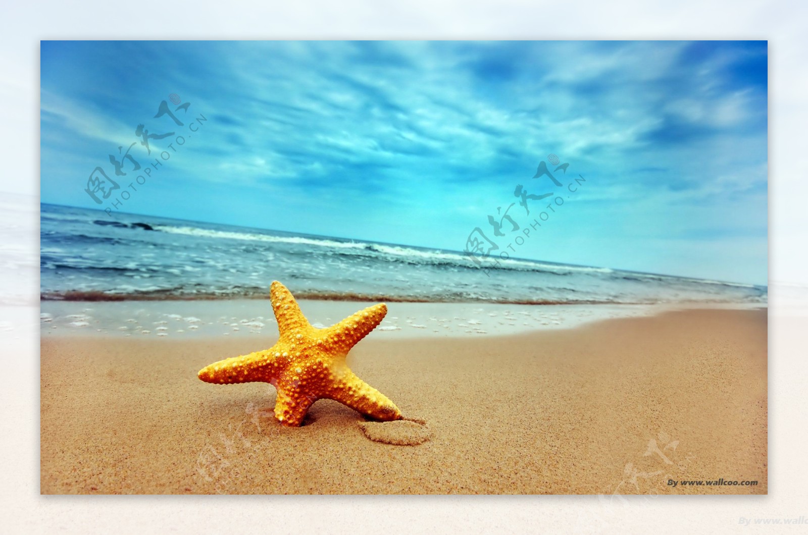 海滩星星