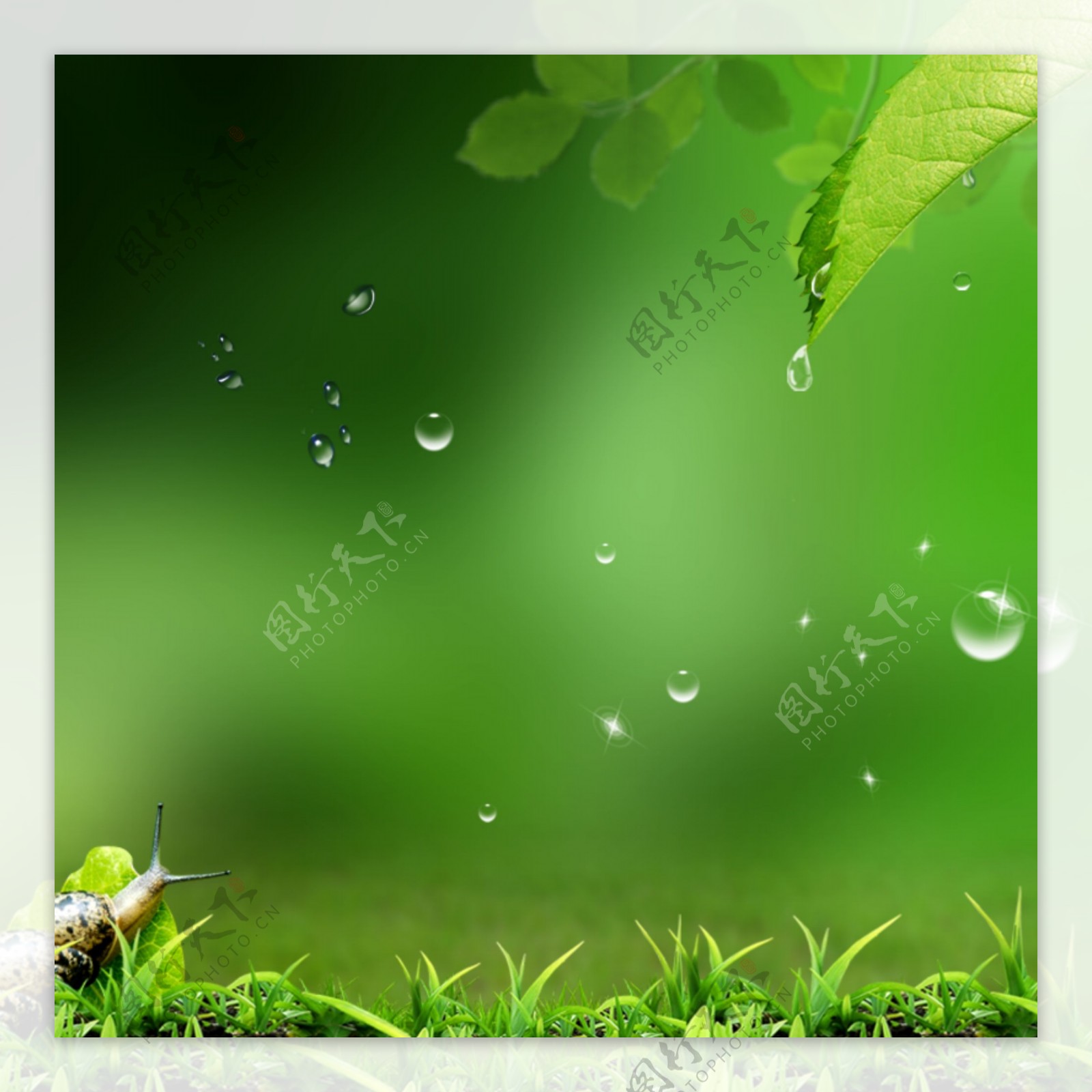 绿色温馨的墙壁图片素材-编号01989119-图行天下