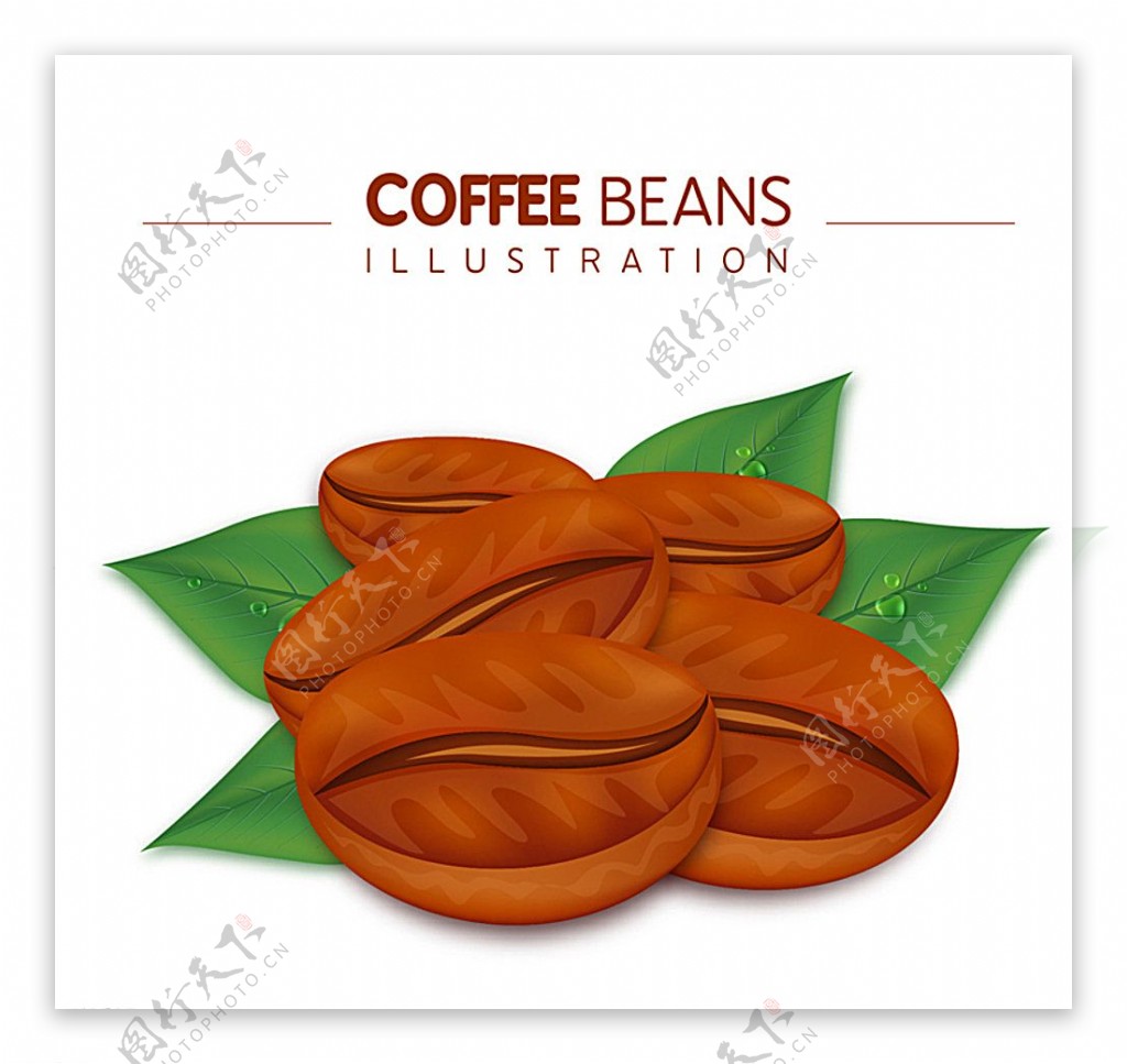 创意咖啡豆设计矢量图图片