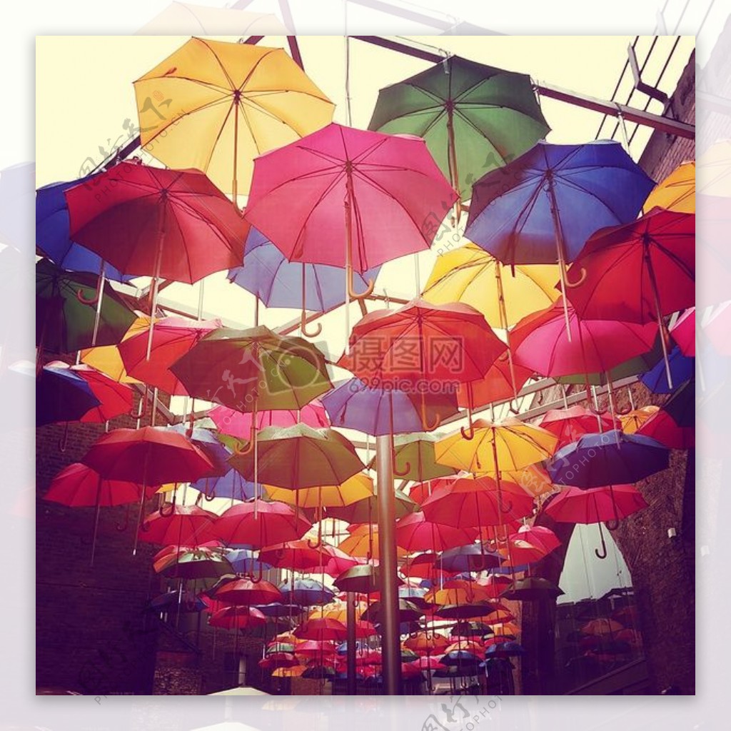 阳光下的彩色雨伞