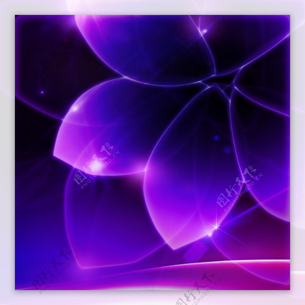 淘宝紫色花朵主图背景