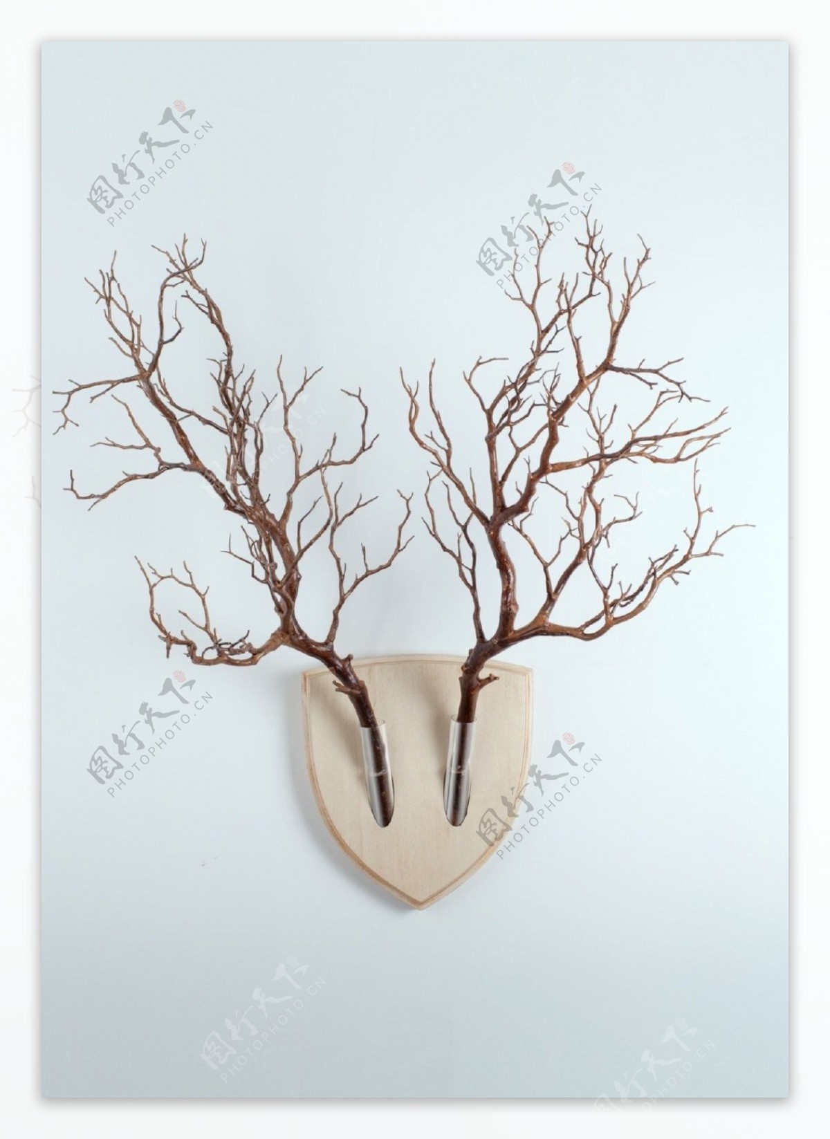 抽象装饰树枝背景