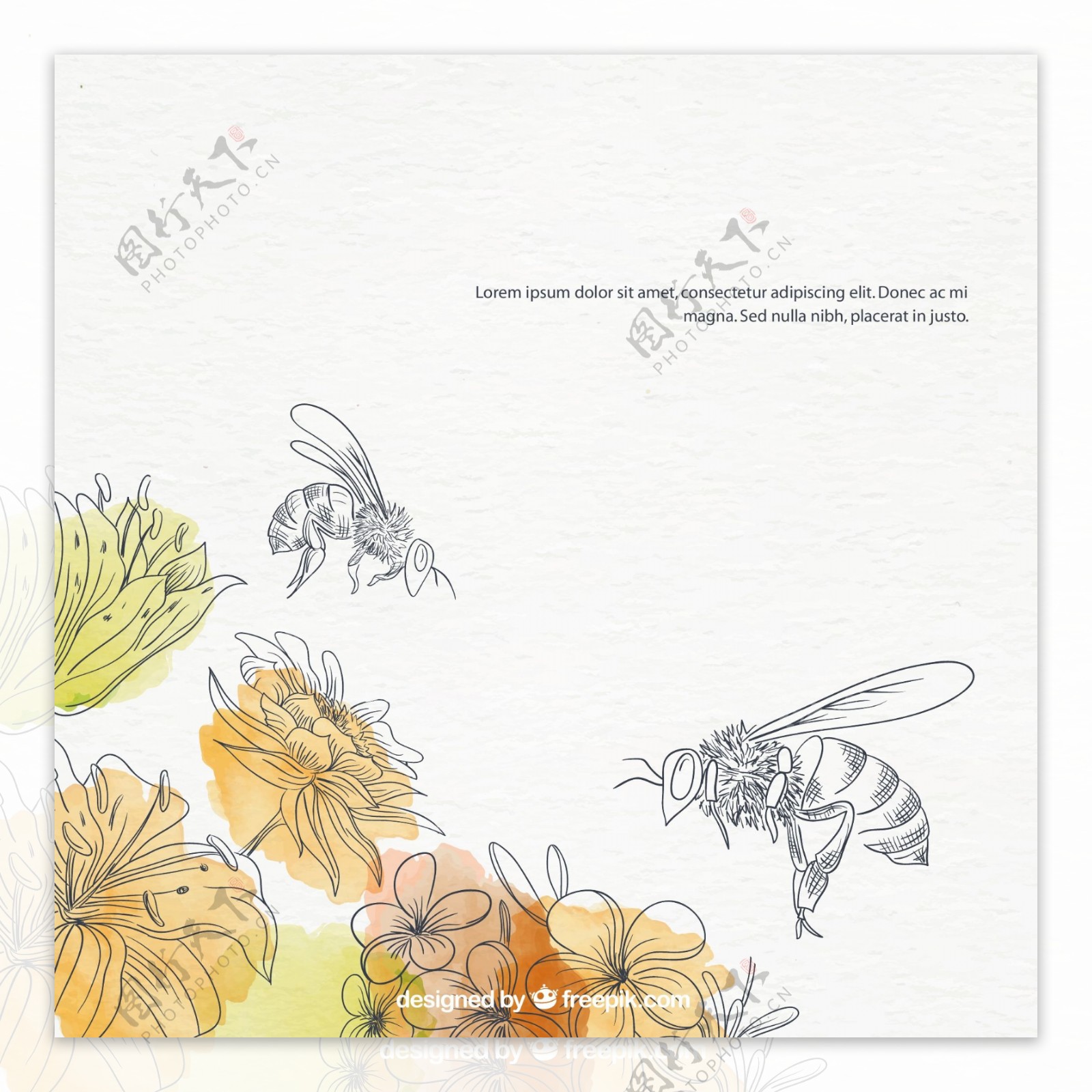 手绘淡彩蜂蜜和花朵插画