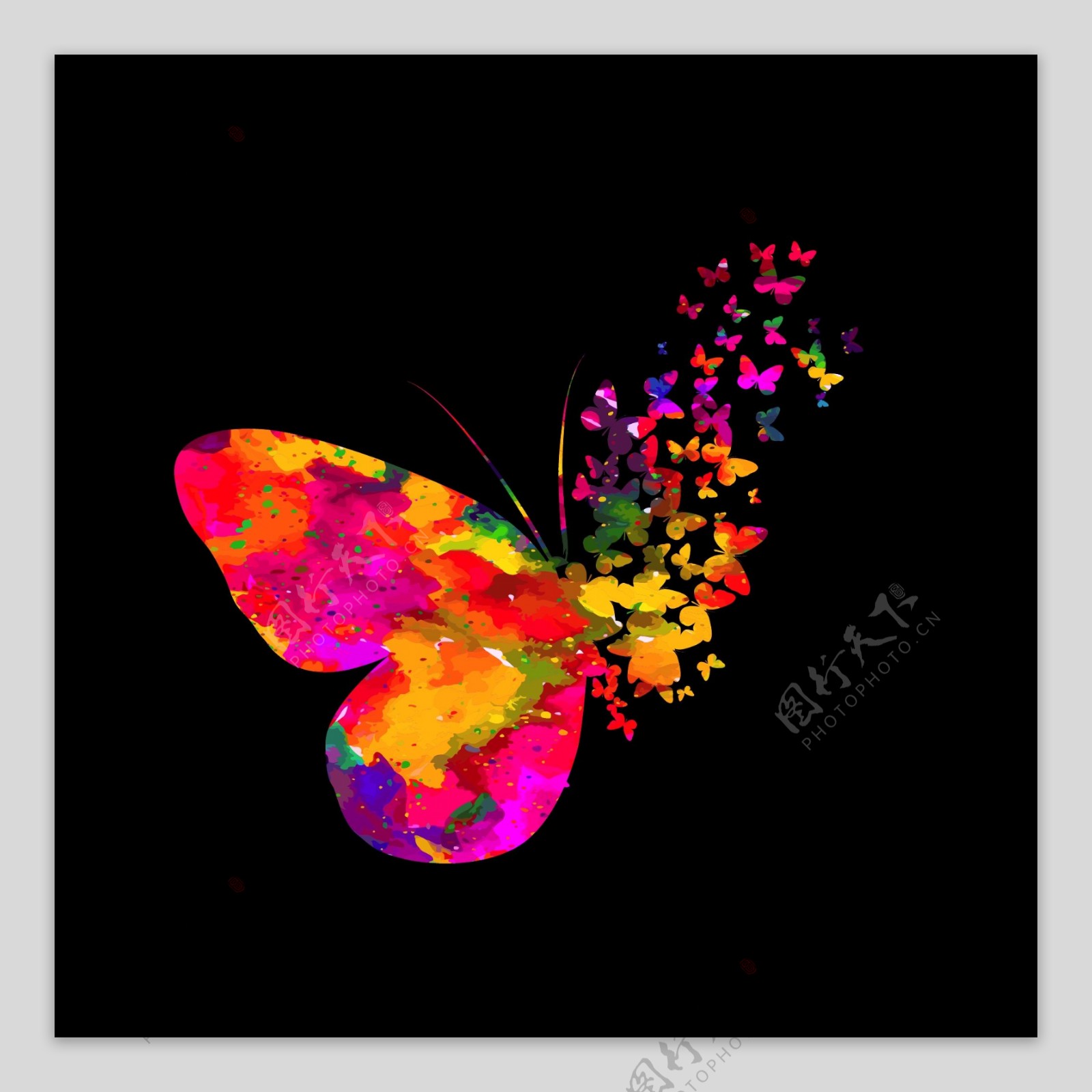 黑色背景上的抽象水彩蝴蝶