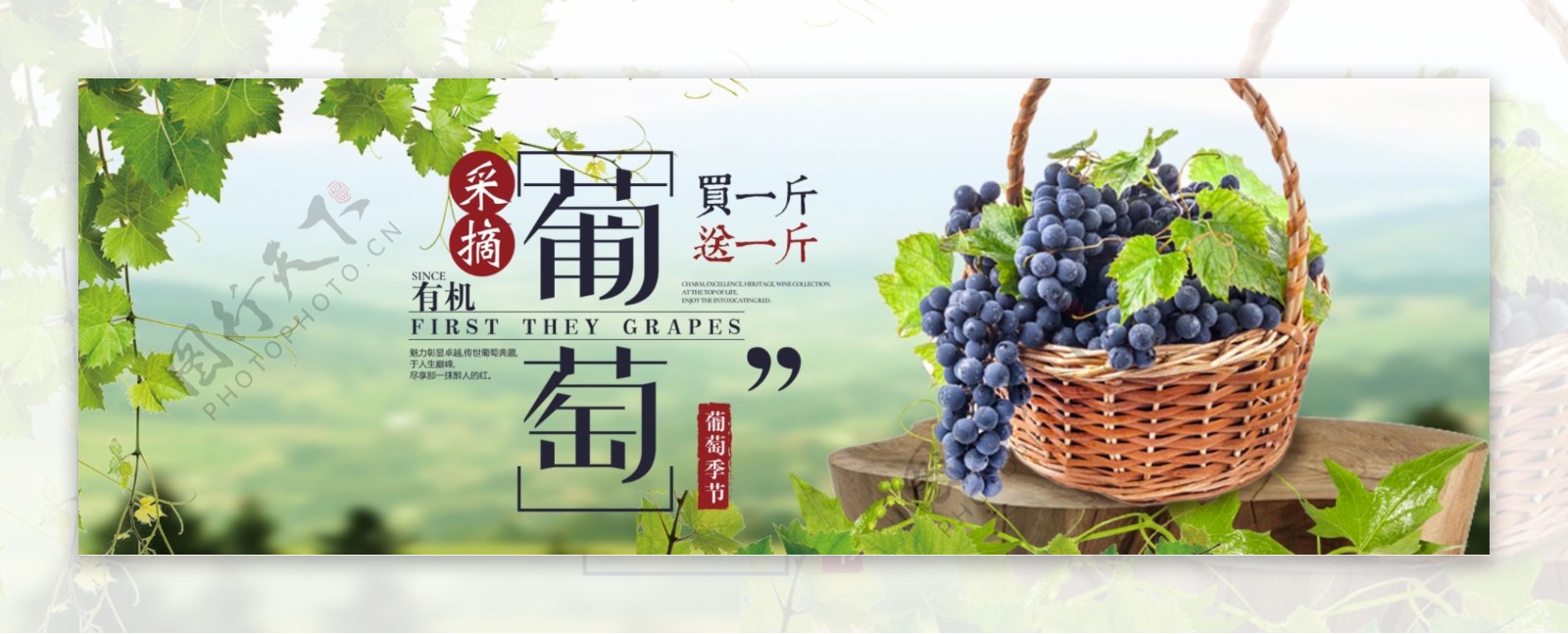 绿色清新葡萄水果食品新鲜淘宝banner