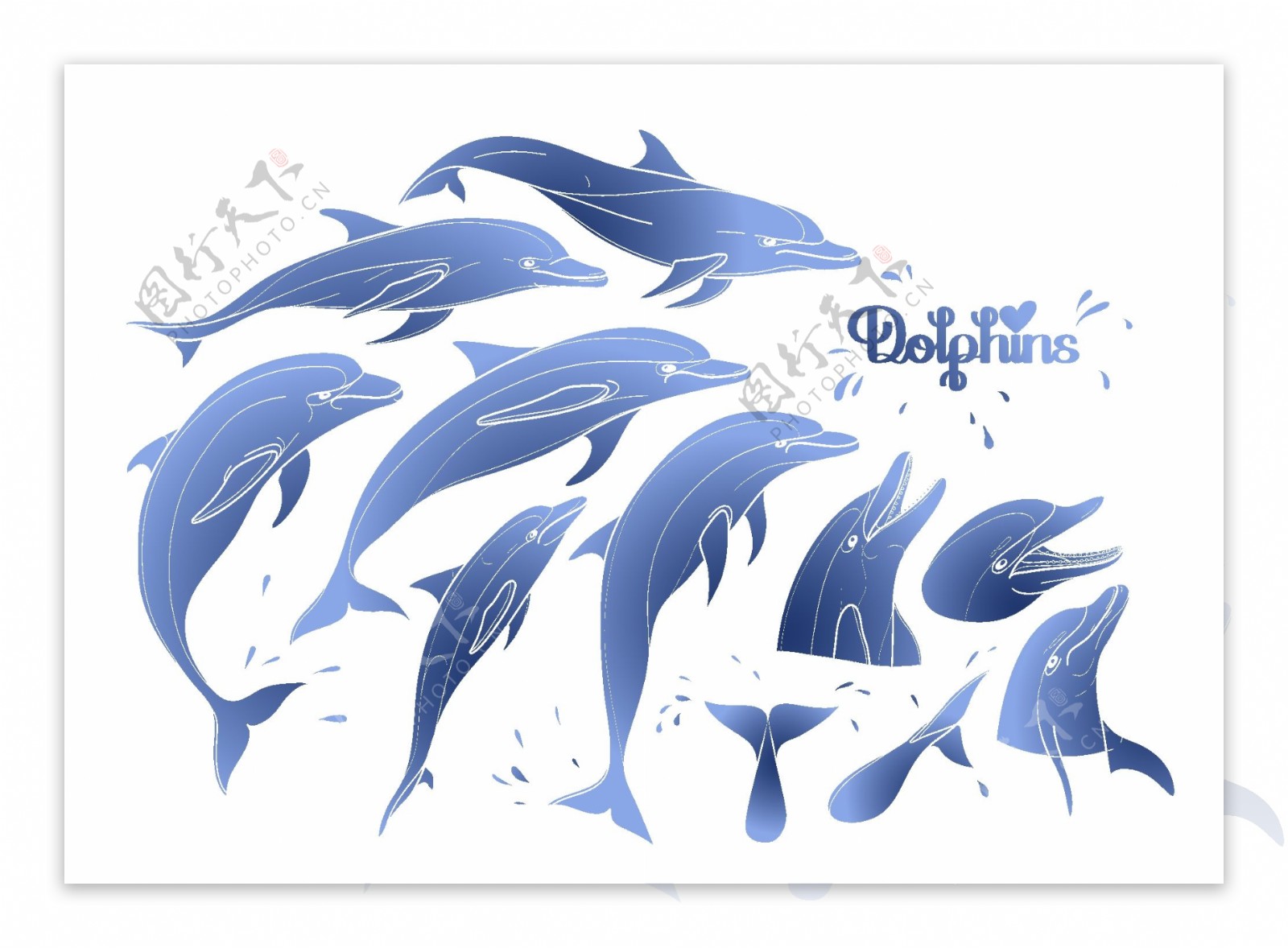 时尚手绘蓝色海豚插画