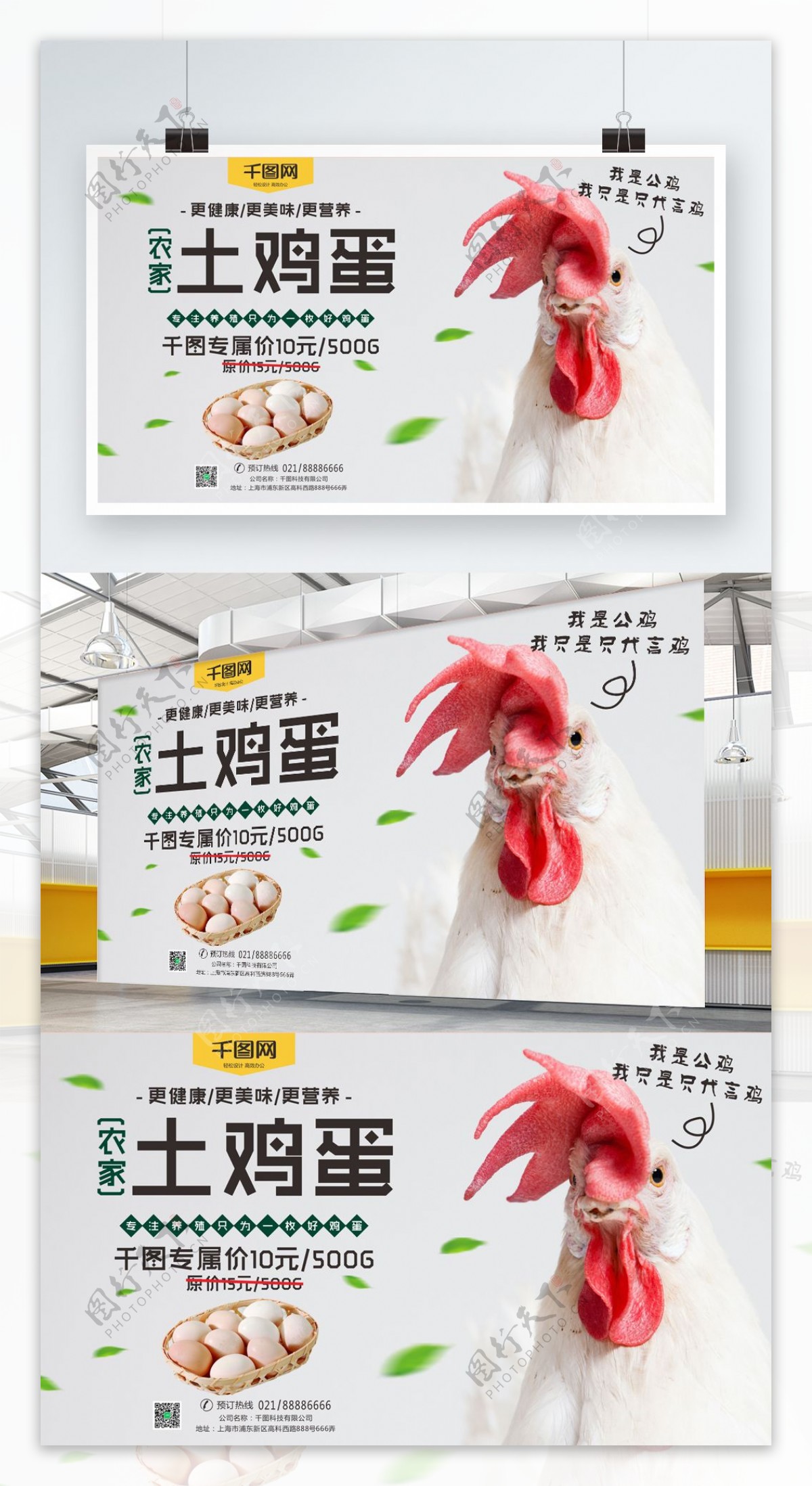 农家鸡蛋简约宣传海报