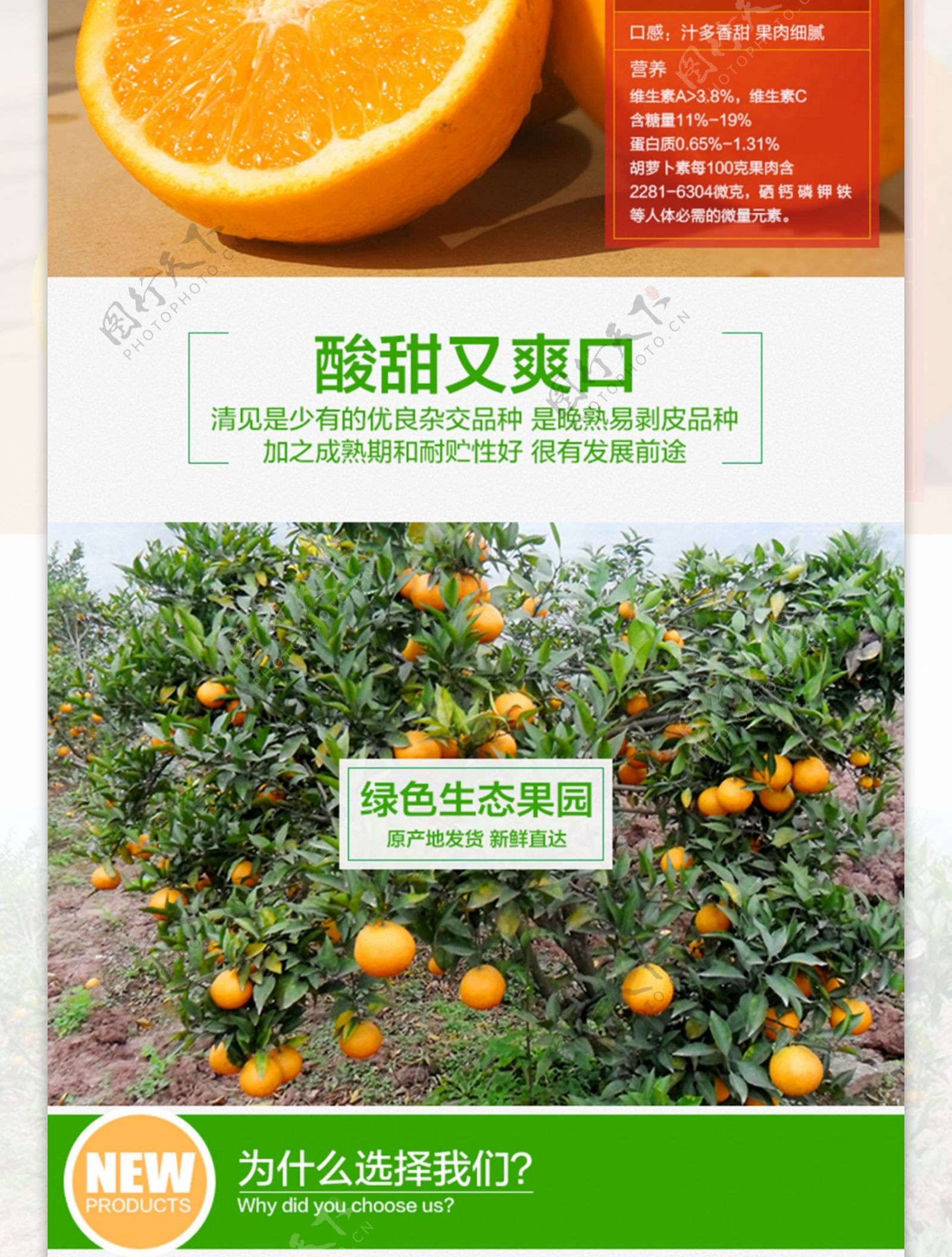 清见详情图柑橘水果又名清见