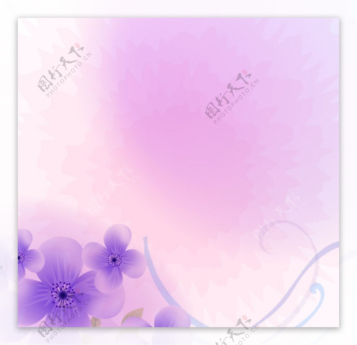 直通车紫色花朵背景