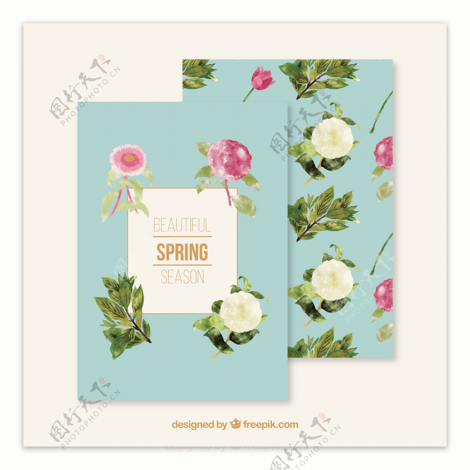 清新春季花卉卡片设计矢量