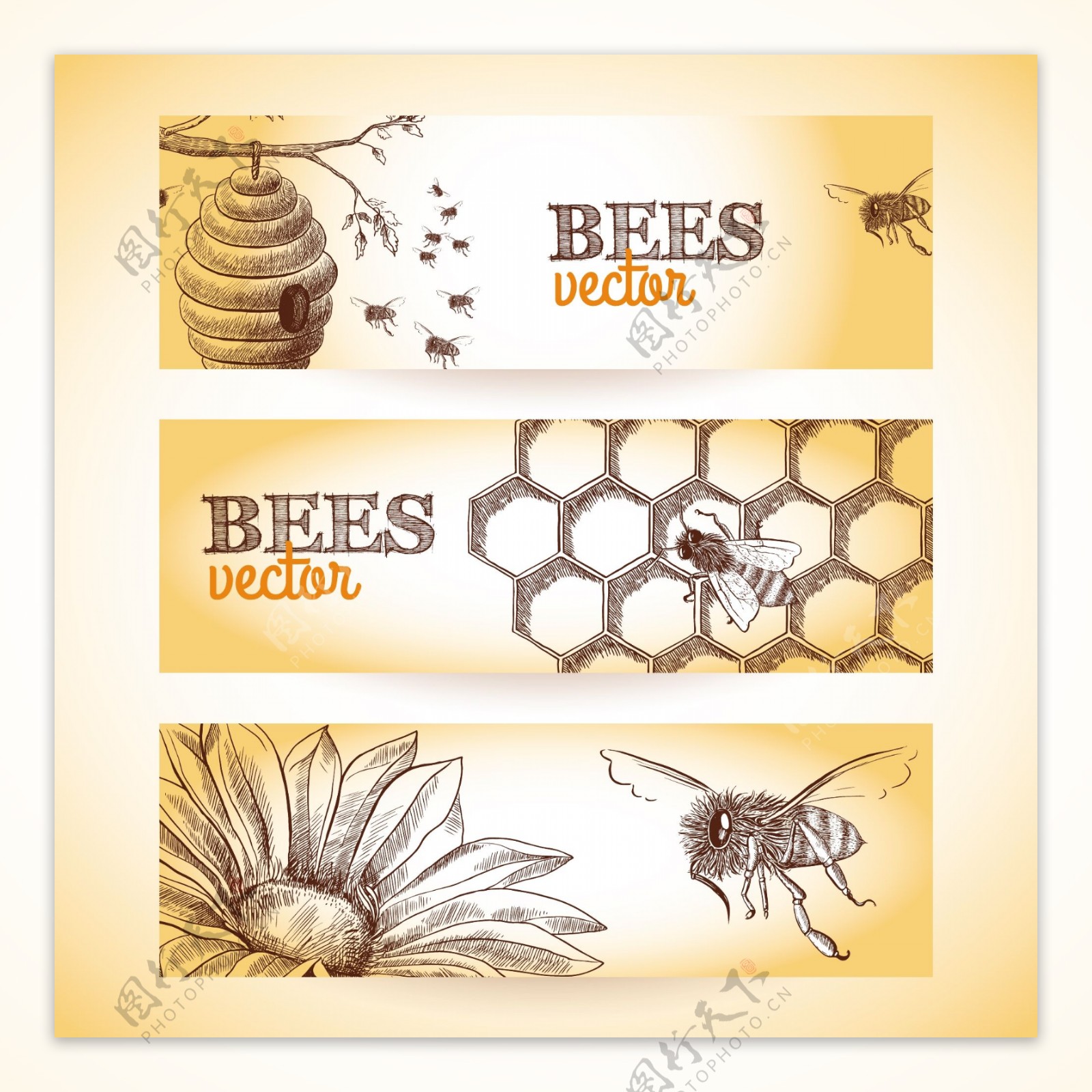 蜜蜂的蜂巢梳花素描横幅的隔离套矢量插画