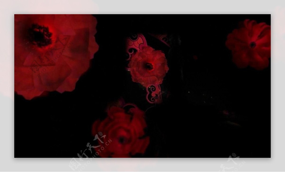 红色温馨花朵炫光视频素材