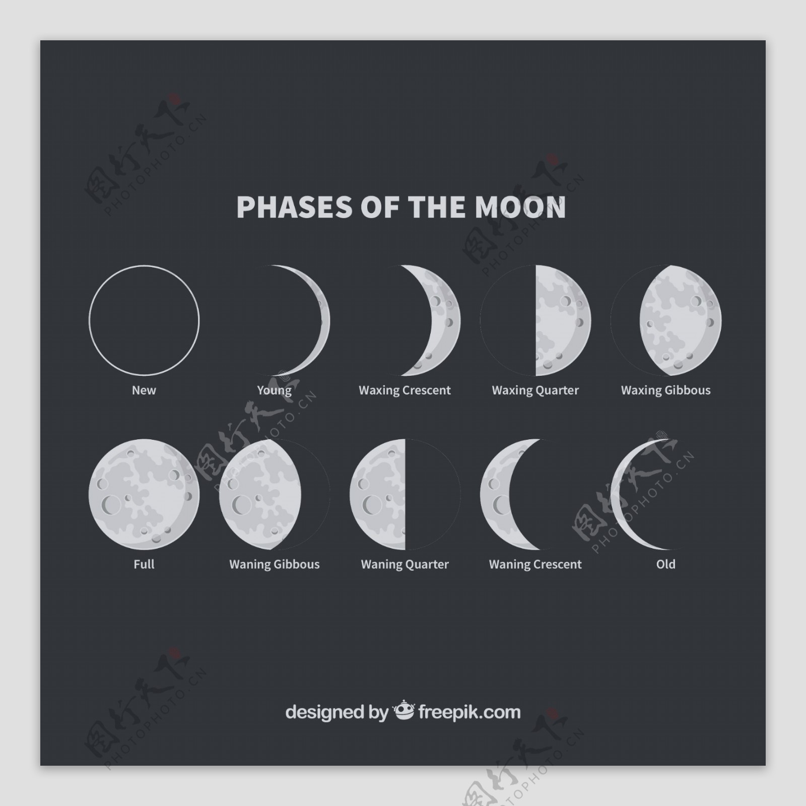 Moon阶段