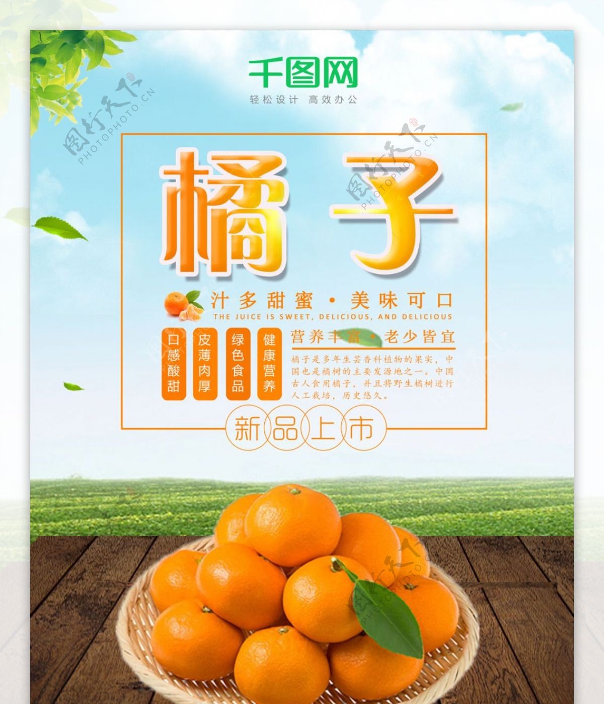 秋季水果橘子简约海报