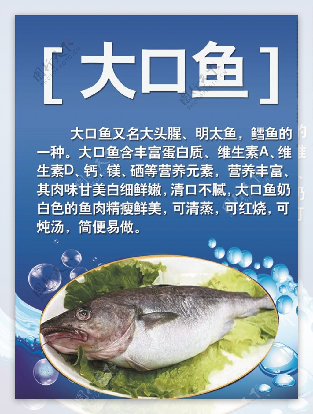 大口鱼介绍大口鱼食用方法