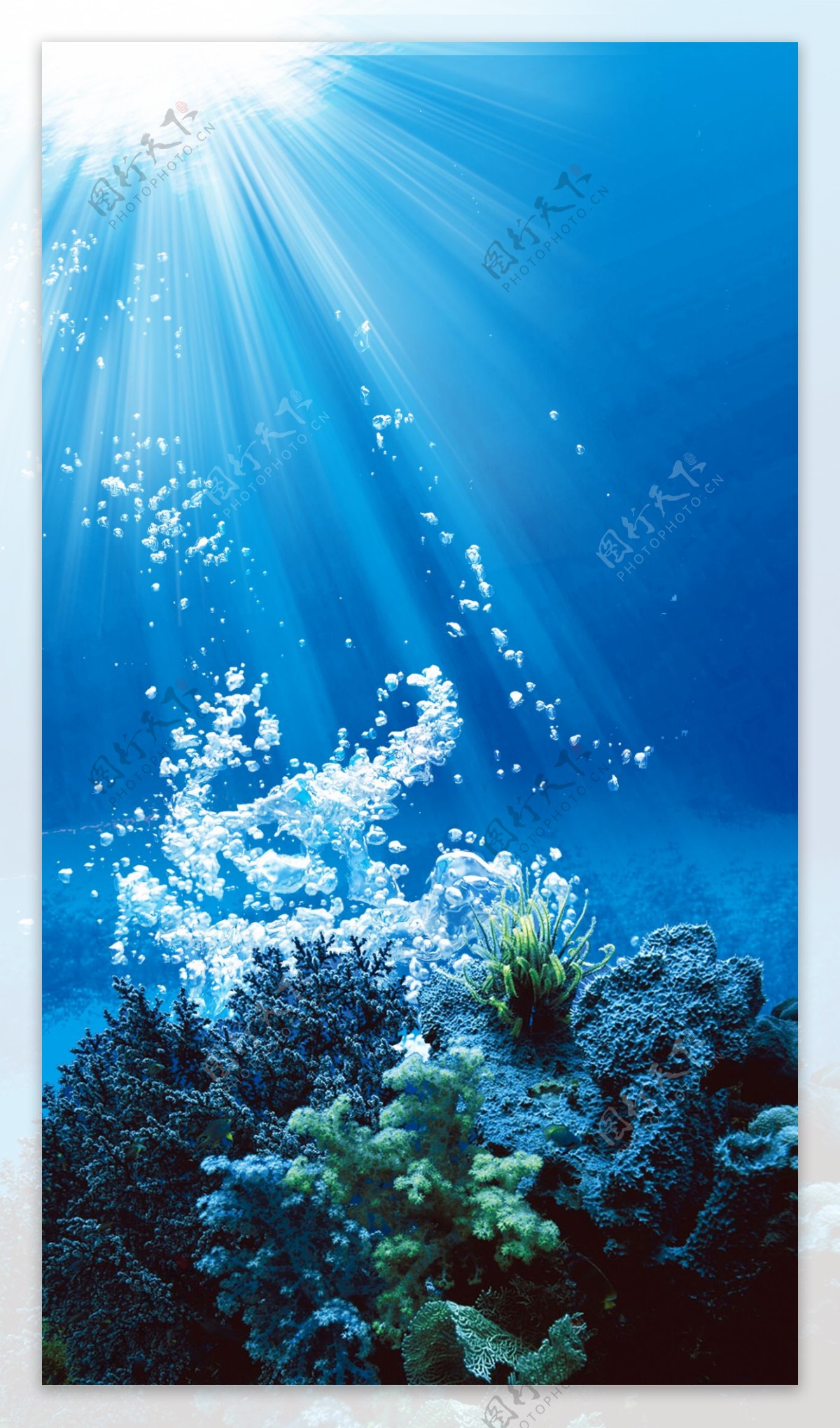 唯美蓝色珊瑚H5背景素材