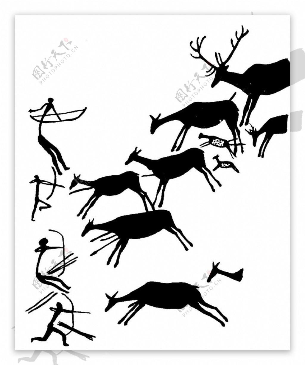 动物图案花纹纹理