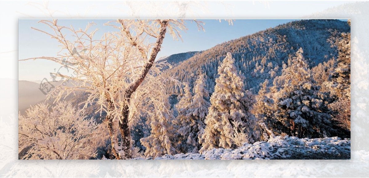 冬天雪景