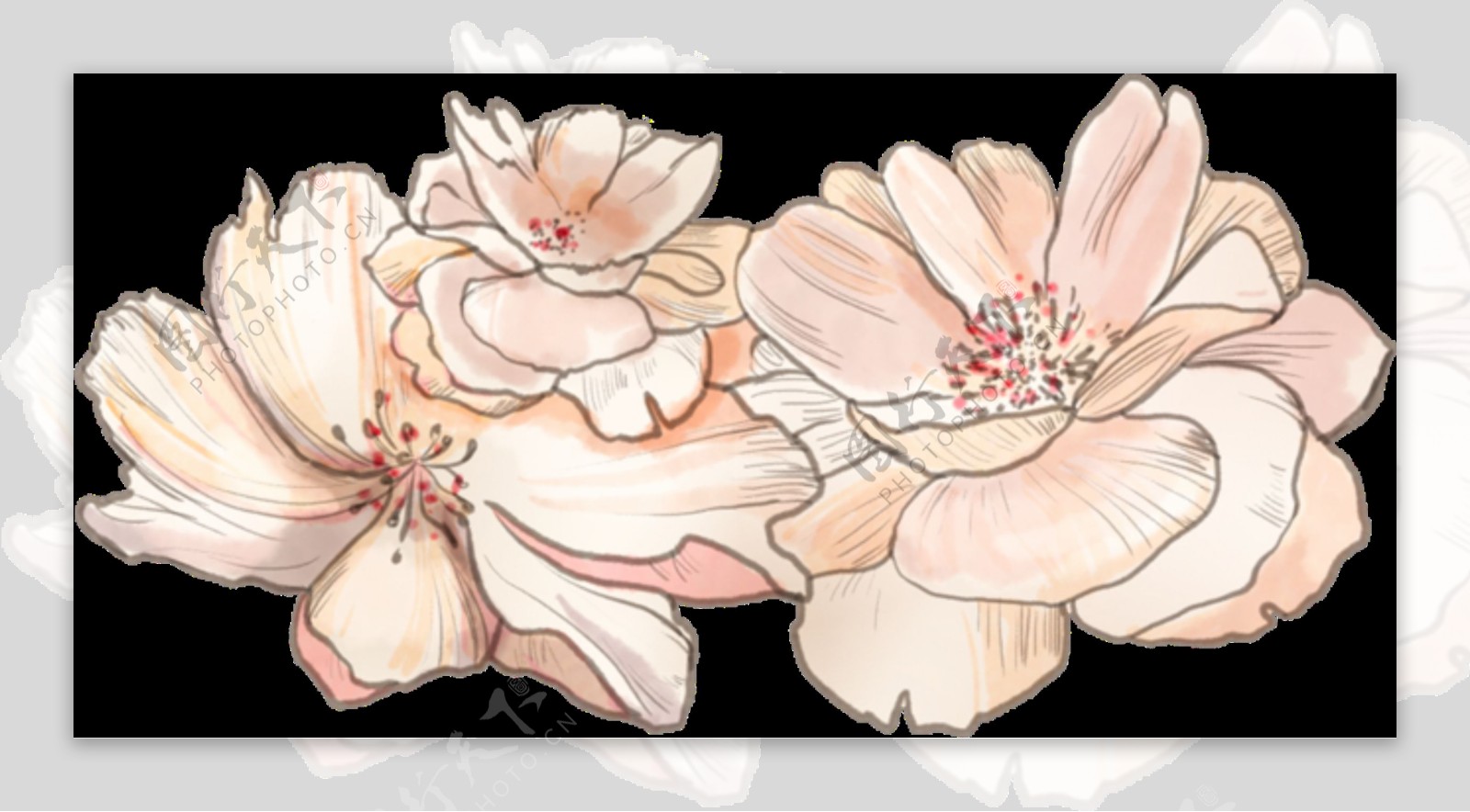 肉粉色花朵透明装饰图案