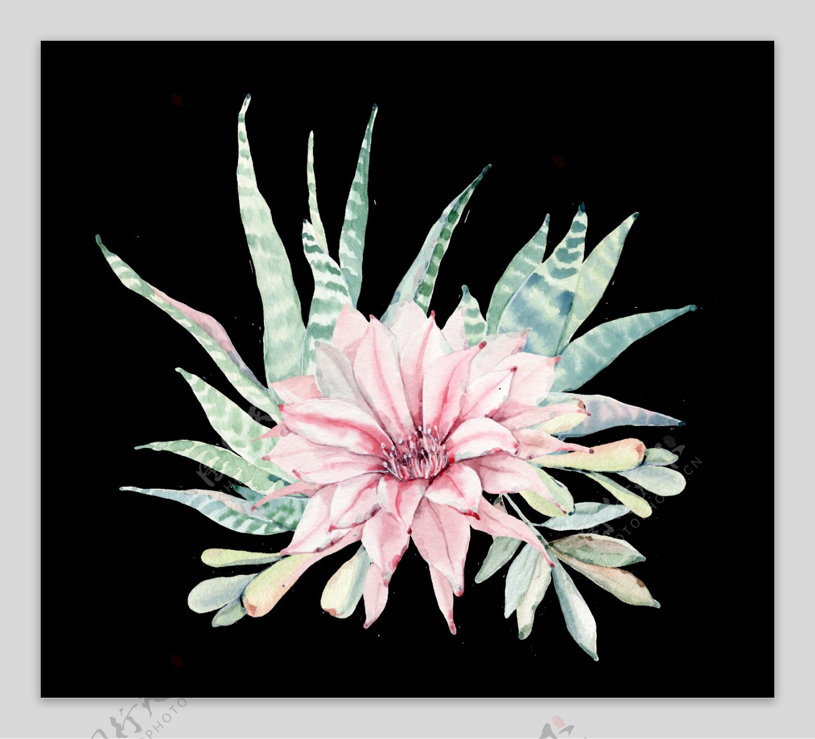 杂乱花卉透明装饰图案