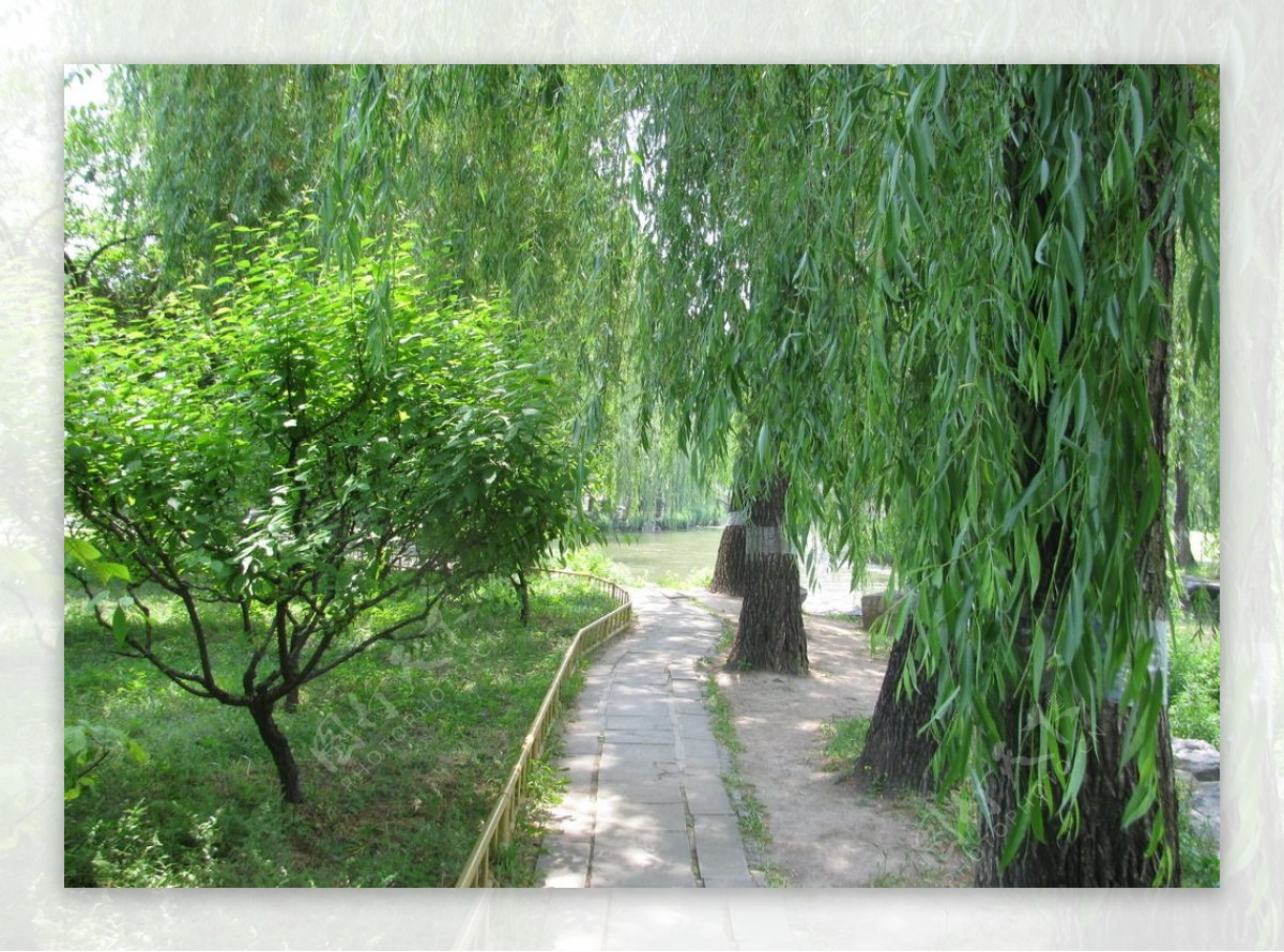 圆明园风景