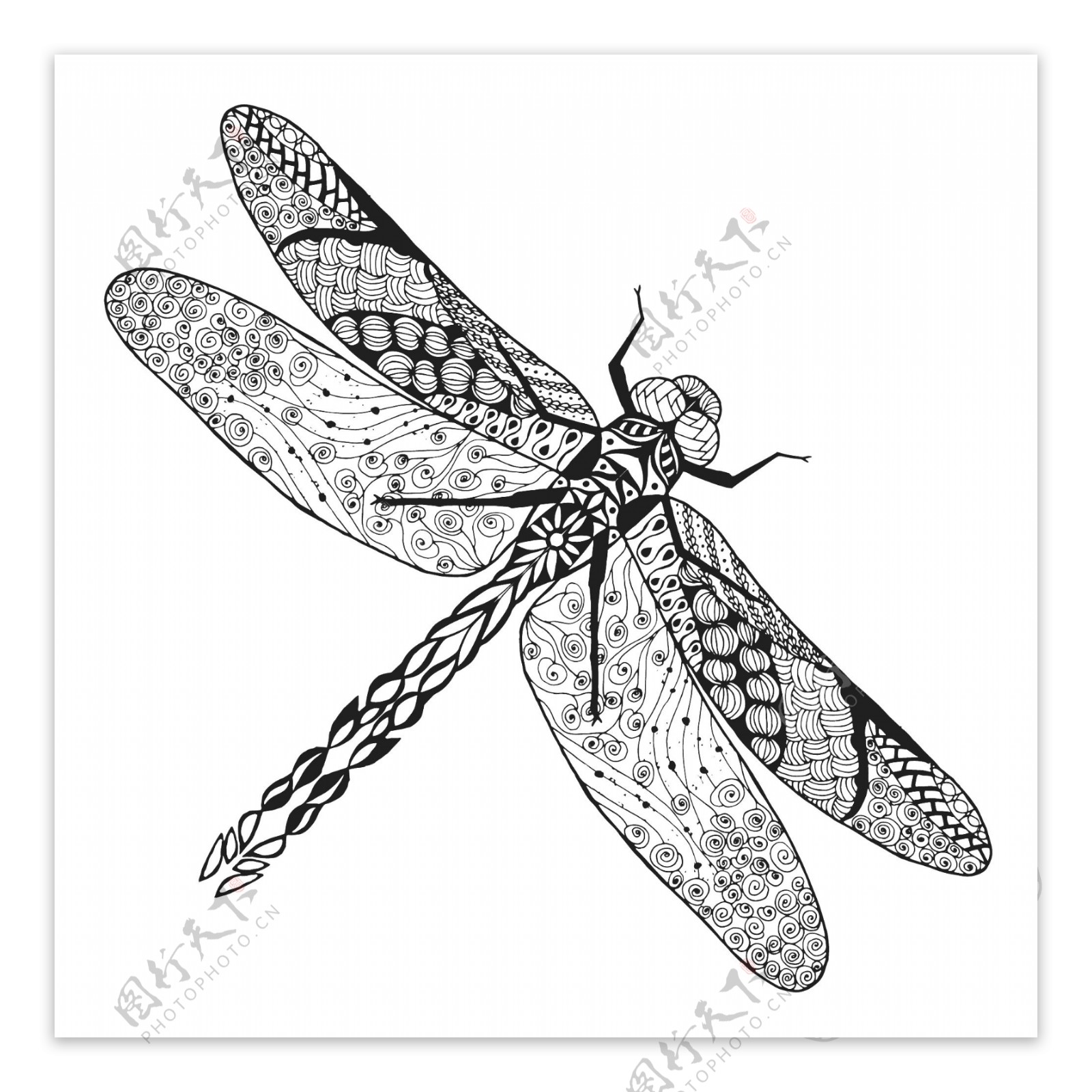 艺术时尚昆虫蜻蜓插画