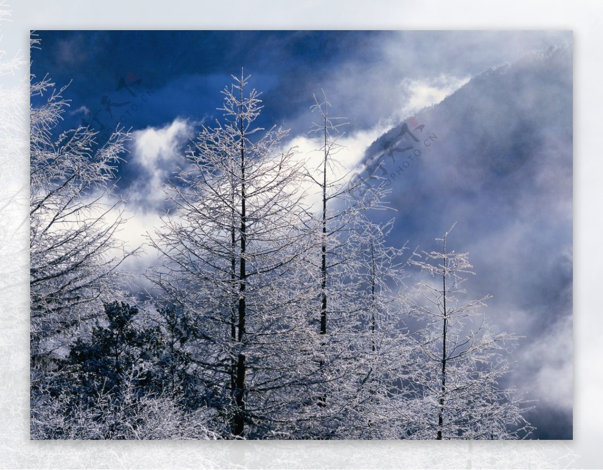 林海雪山