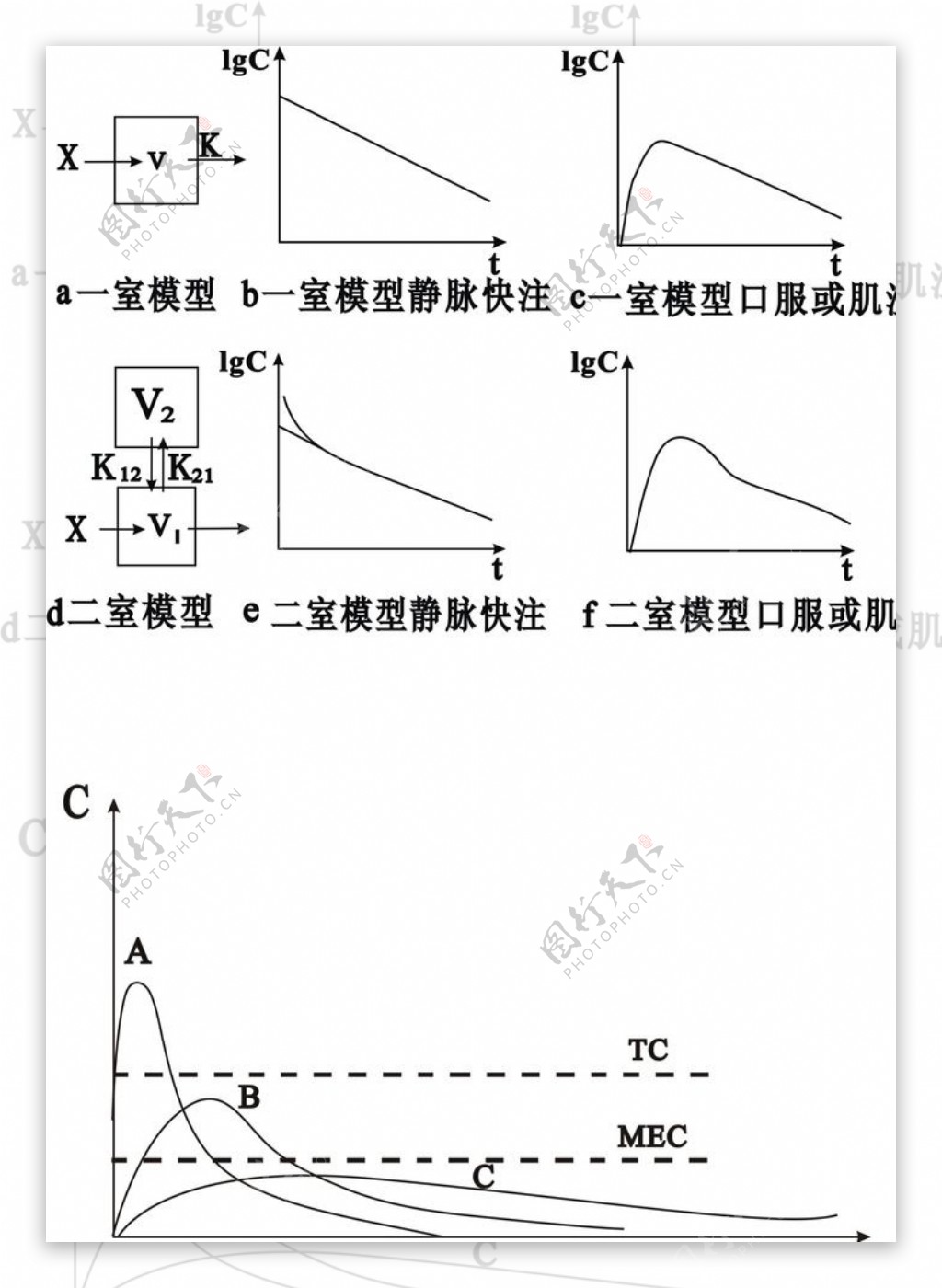 静脉注射图表