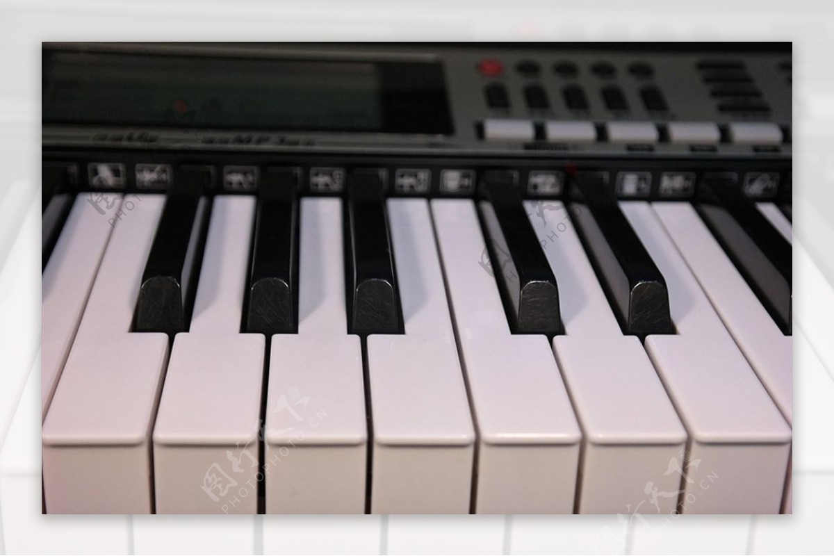 钢琴黑白键盘