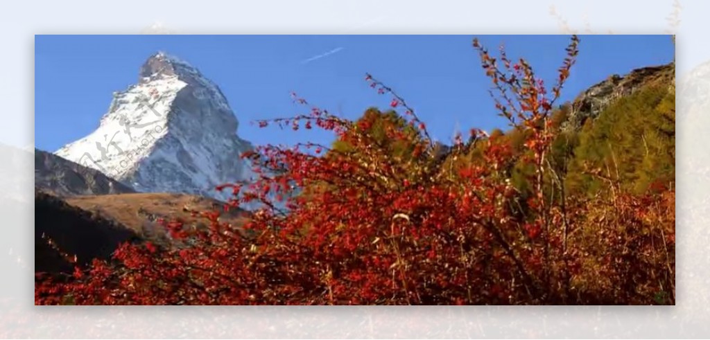 冰川远景红色树林美景高清实拍视频素材
