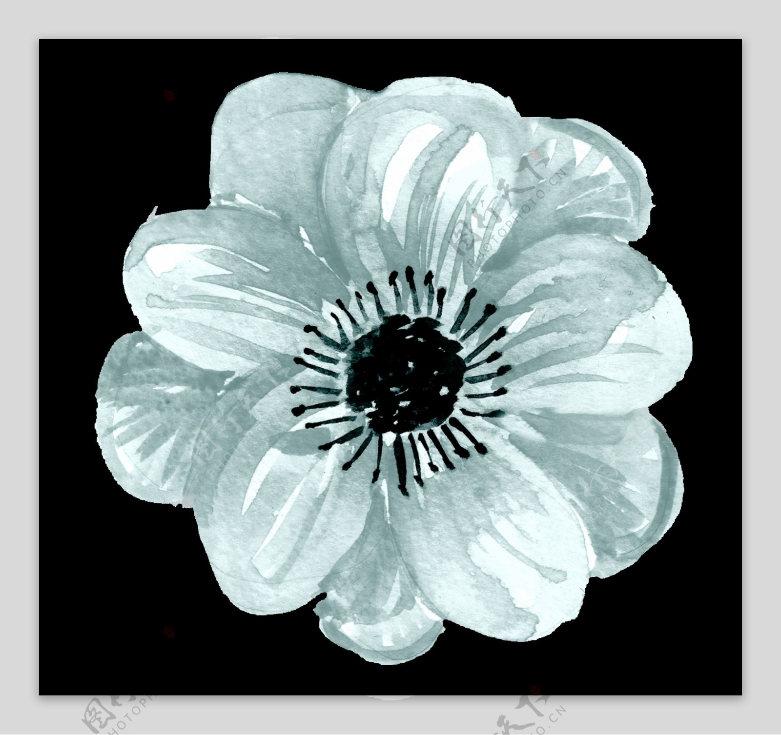 冷艳花卉卡通透明素材