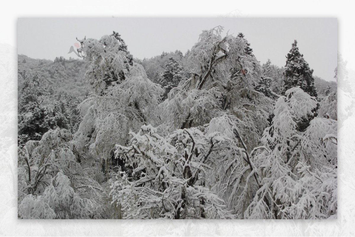 七藏沟雪景