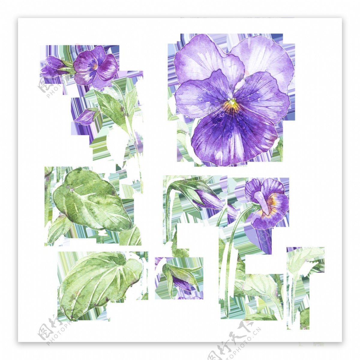 手绘紫色小花透明素材