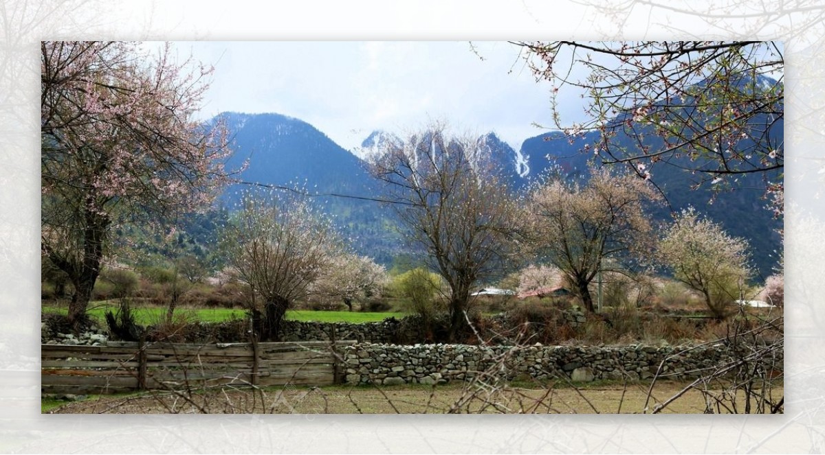 川藏林芝风景