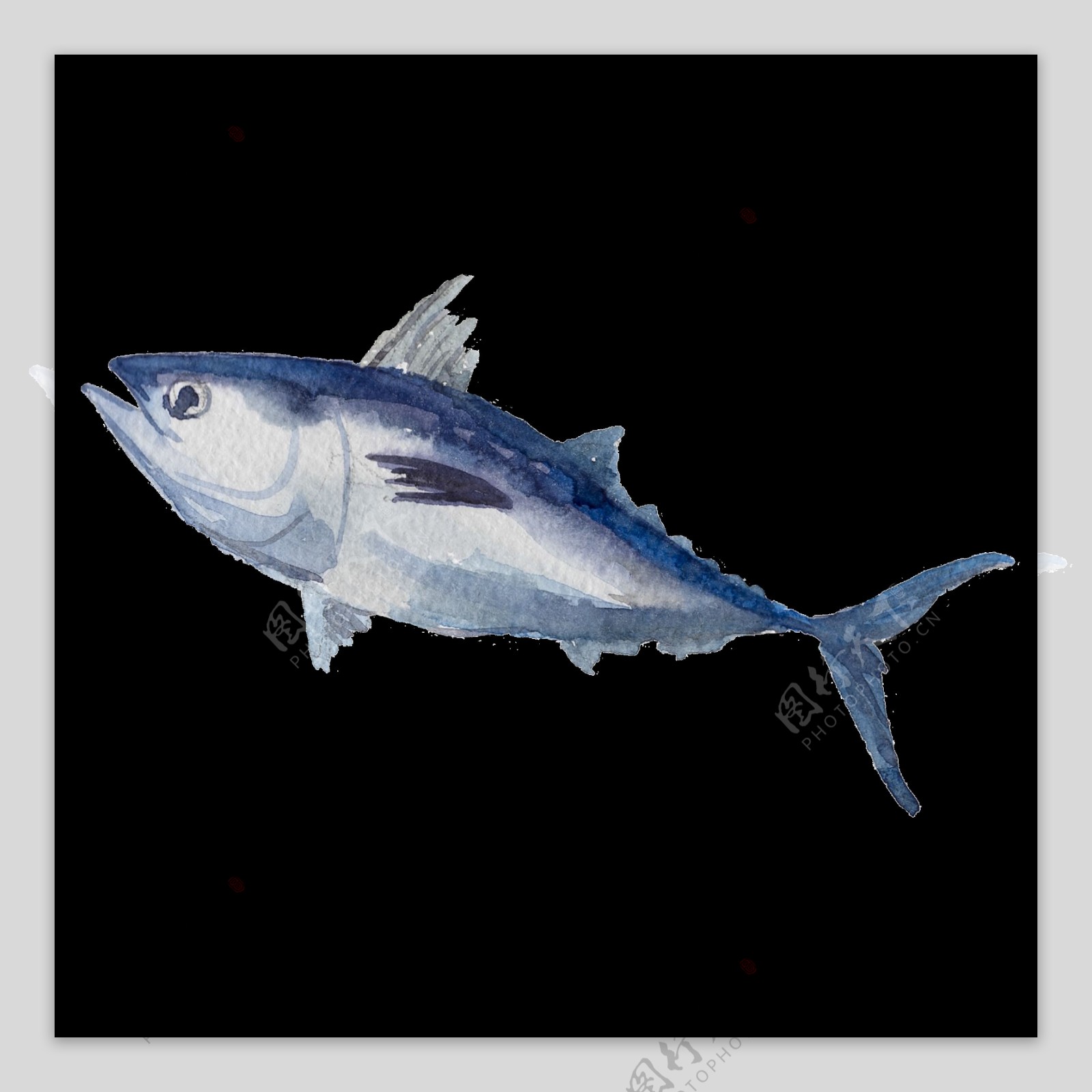 灰蓝色水彩手绘鱼透明素材