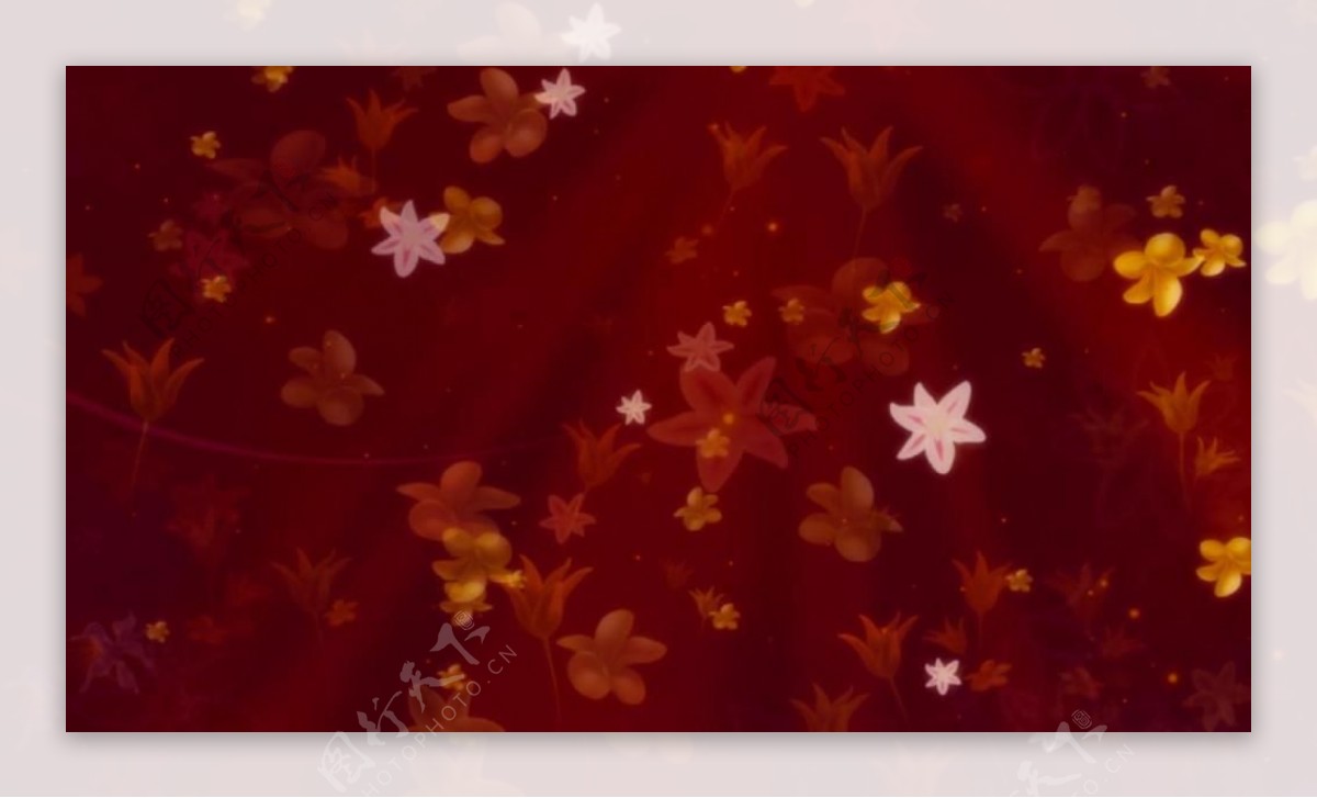 秋天红橙树叶花瓣飘落视频素材