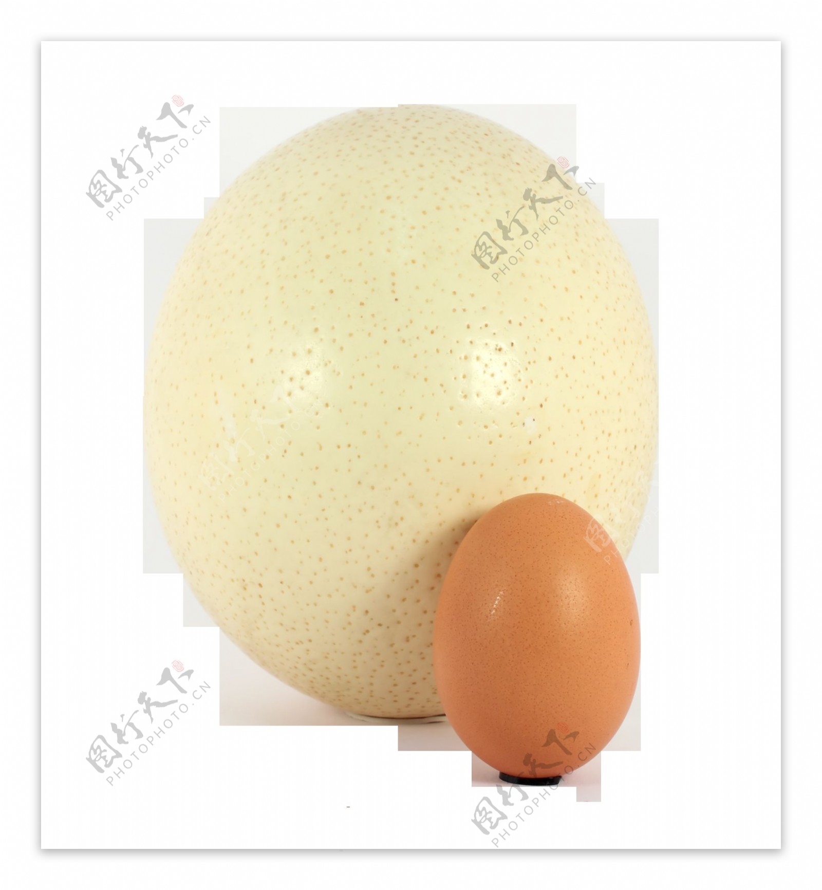 鸡蛋蛋黄摄影图高清摄影大图-千库网