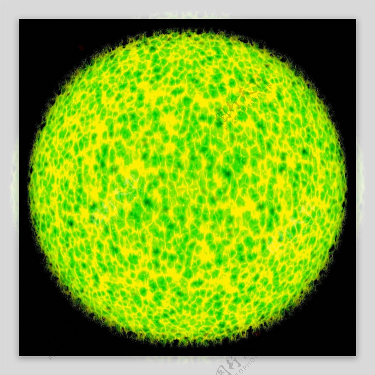 黄绿色圆球形状动态特效MOV视频素材下载