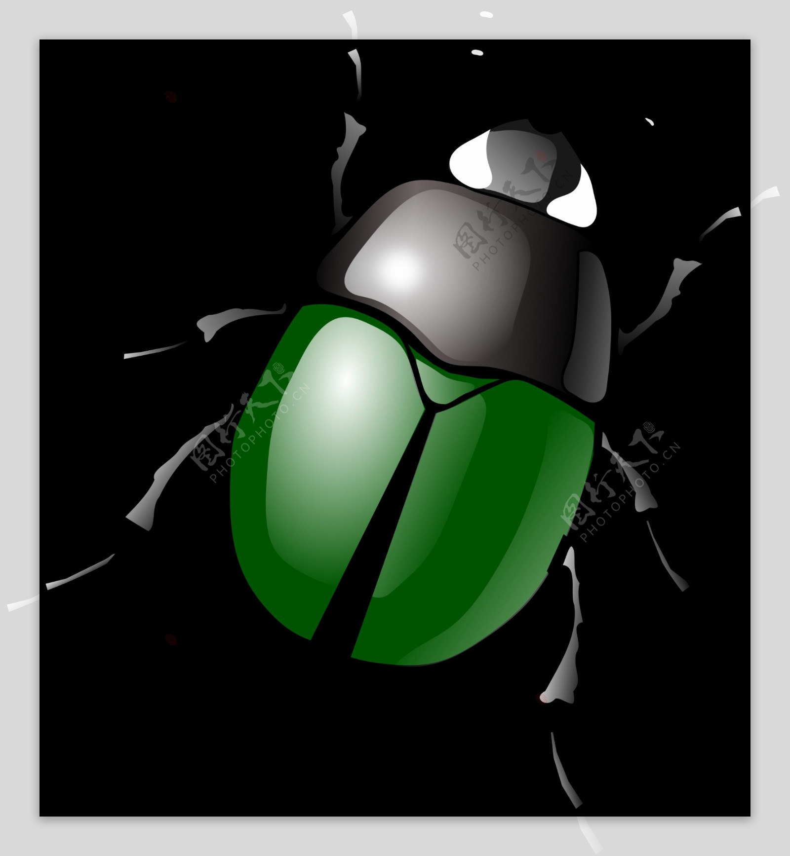 绿色甲虫图片免抠png透明图层素材