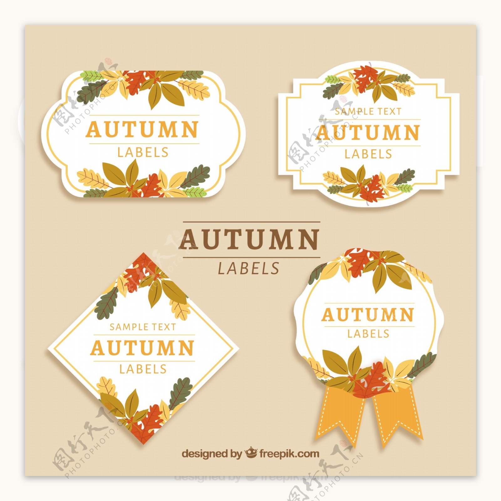 彩色叶子的秋季标签