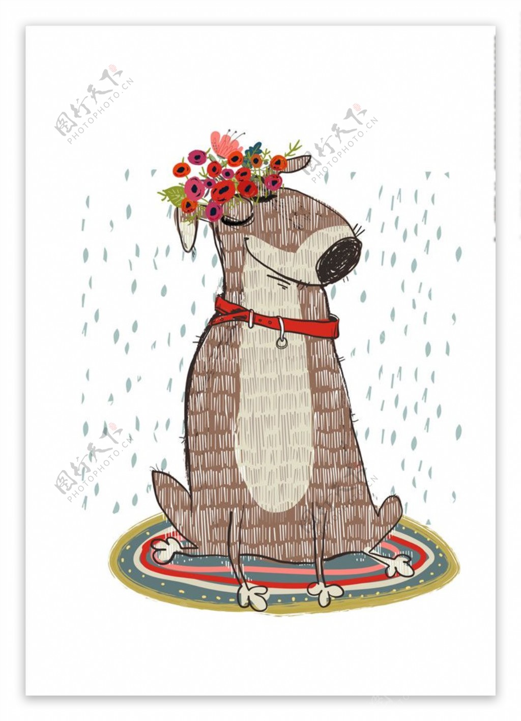 与在空白背景查出的玫瑰的奇瓦瓦狗狗 库存图片. 图片 包括有 看板卡, 花卉, 宠物, 弗洛斯, 祝贺, 礼品 - 80191733