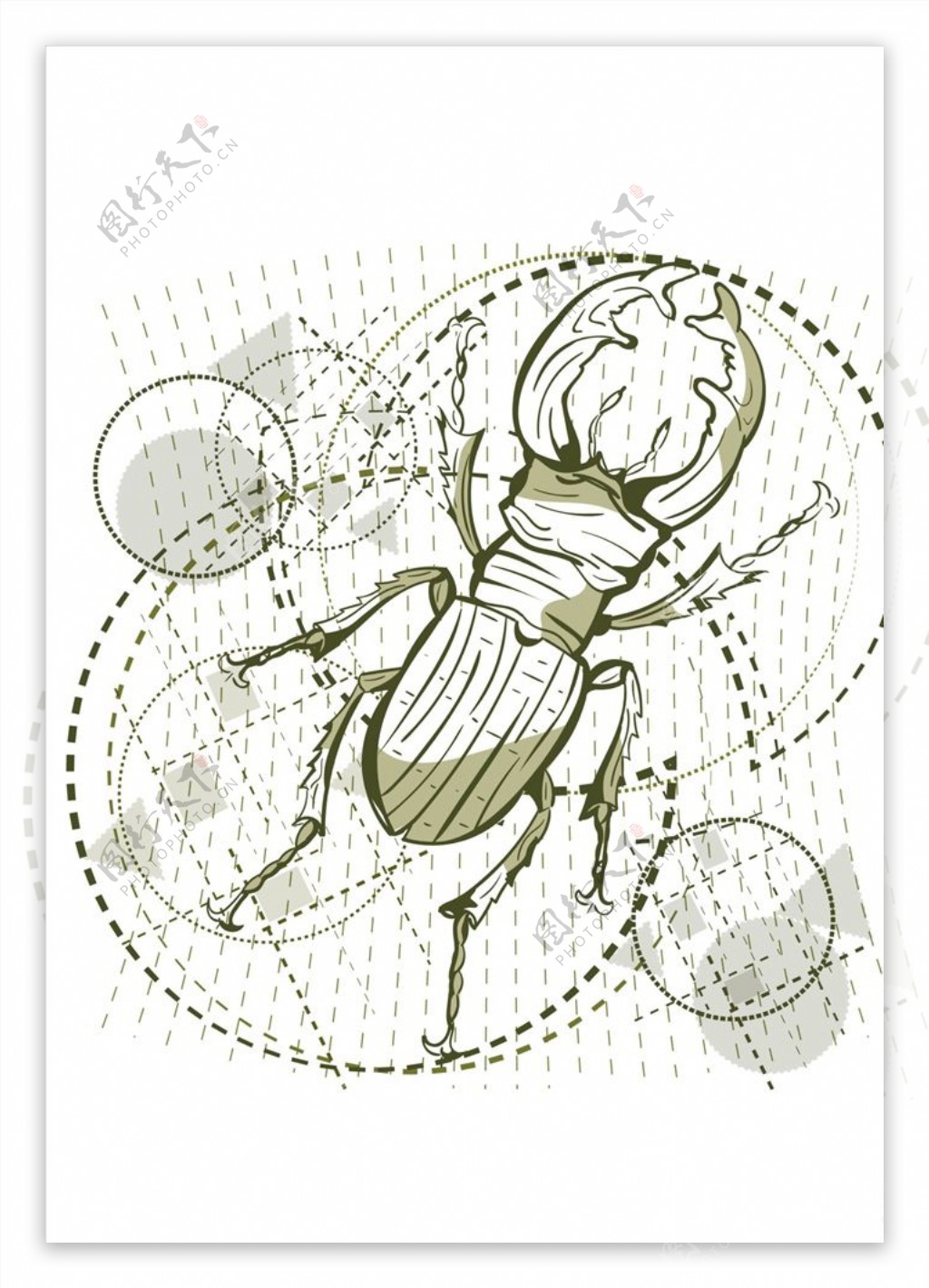 手绘线描昆虫矢量图下载