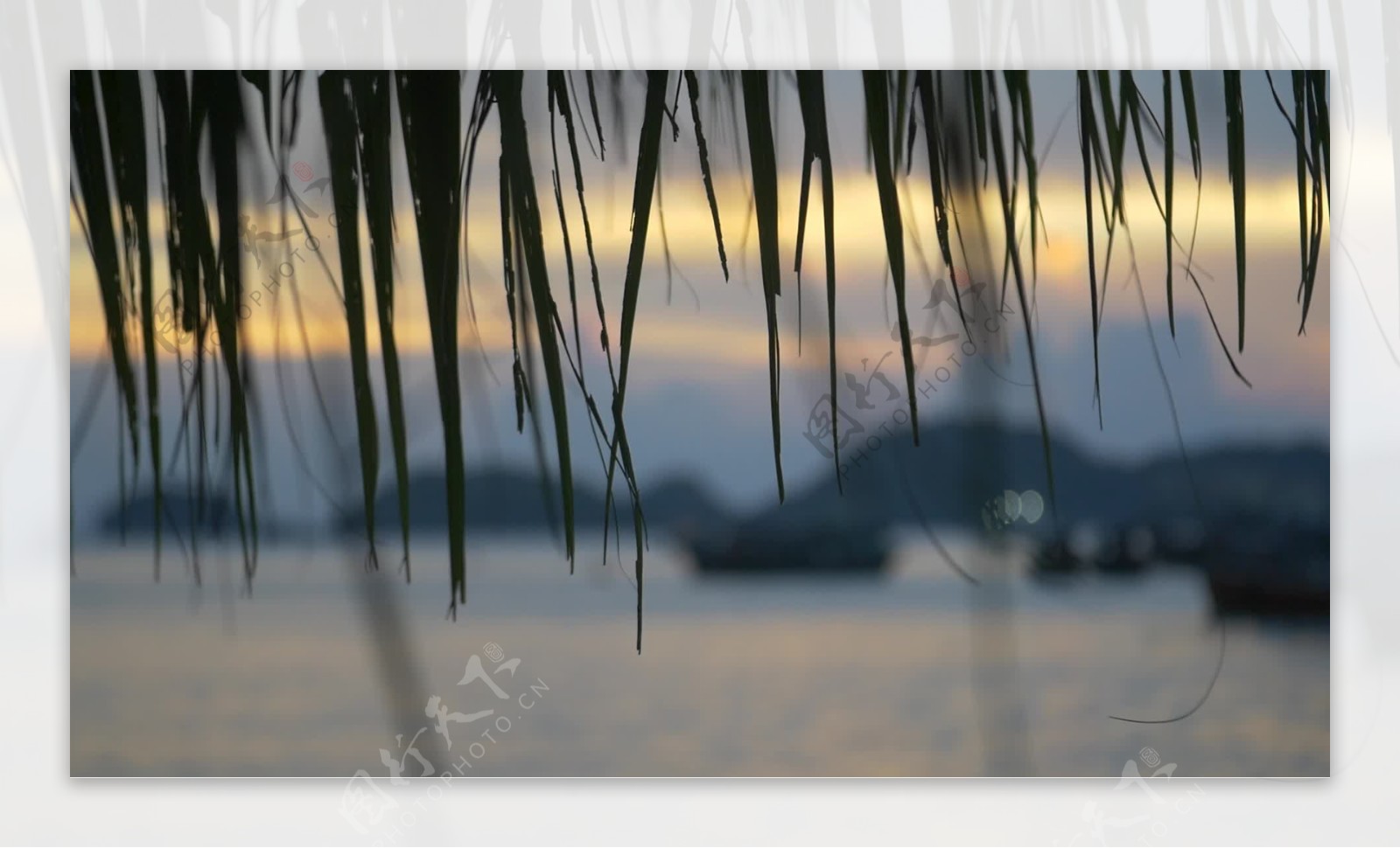 越南海港日落的焦点镜头