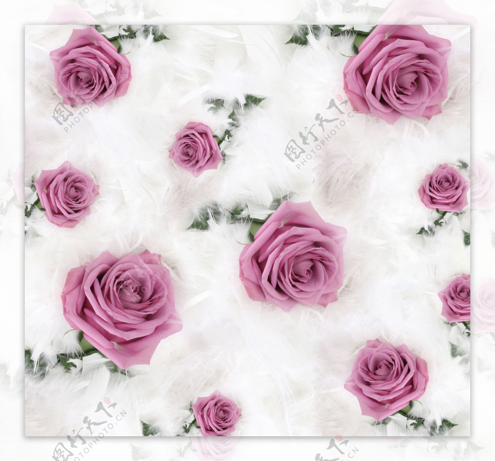 粉色玫瑰装饰画素材