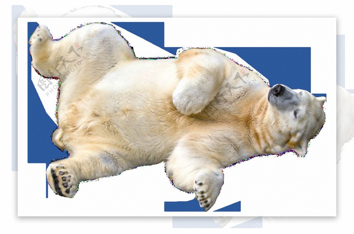 躺地上的北极熊免抠png透明素材