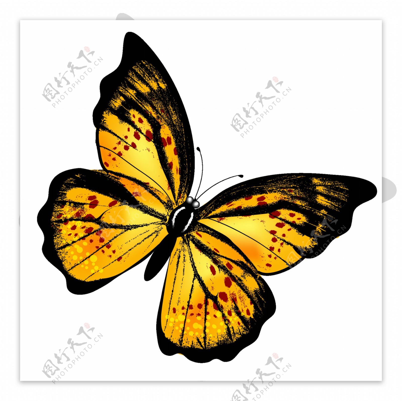 黄色黑色蝴蝶免抠png透明素材