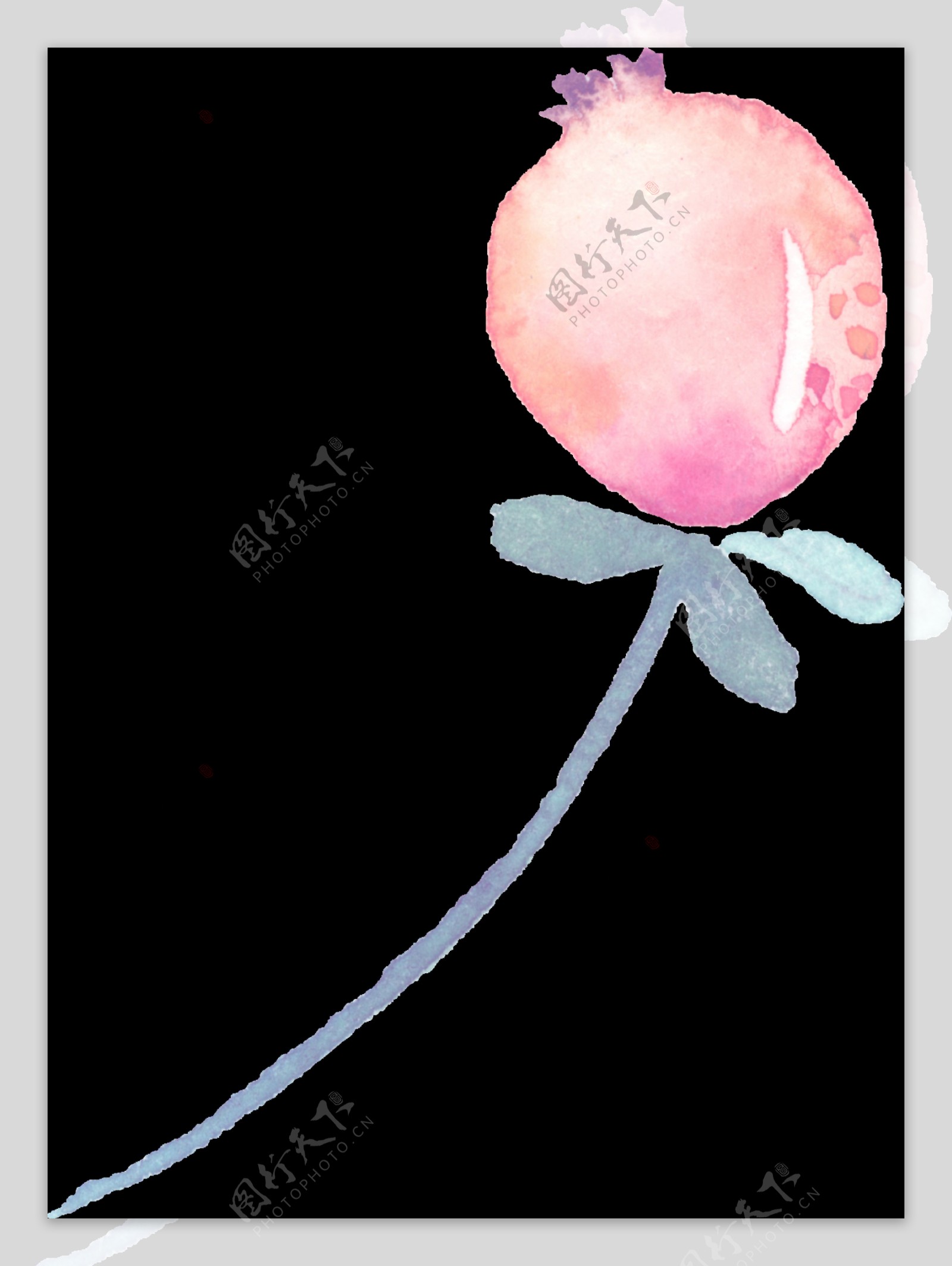 气球花束透明素材