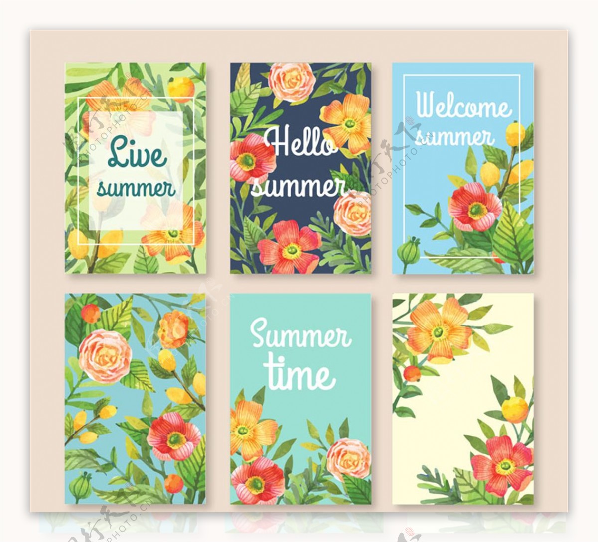 6款彩色夏季花卉卡片矢量素材