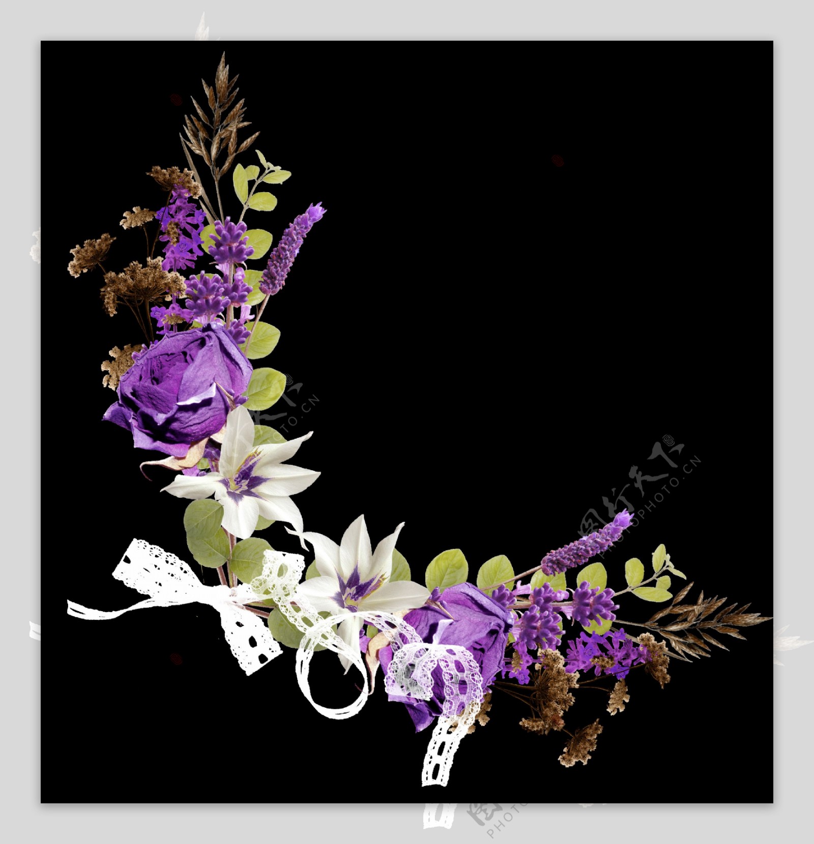 手绘彩绘花卉植物png透明素材